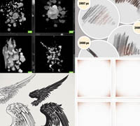 DesignTNT - full design library brushes