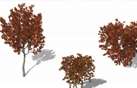 Xfrog 秋季植物模型庫