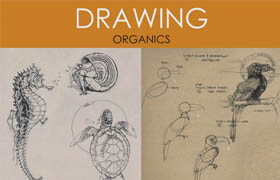 Foundation Patreon Term 10 - Dynamic Sketching Organics  ?
