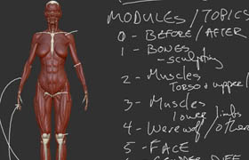 Uartsy - Artistic Anatomy in ZBrush