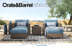 Crate & Barrel - Ventura Lounge Collection - Set II  ?