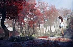 ?DAZ3D - Japanese Maples IM00024288-01+02