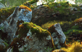 Quixel Megascans Files? 20170211 更新