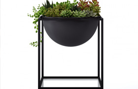 The Kubus Bowl