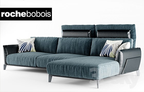 Roche Bobois sofa
