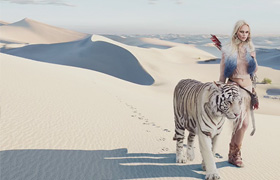 Erik Almas - Desert Tiger