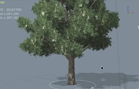 SpeedTree樹木制作入門視頻教程中文字幕