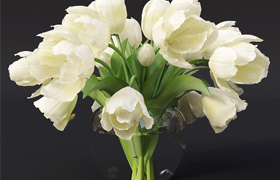?Tulips 7