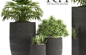 ?PLANTS 42