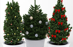 ?Christmas tree