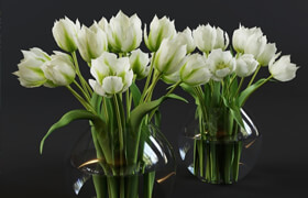 ?White and green tulips