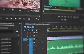 Pluralsight - Premiere Pro CC Essential Sound