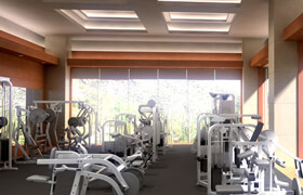 DigitalXModels - 3D Model Collection VOLUME 19 - GYM EQUIPMENT 1   ?