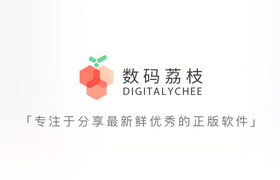 數(shù)碼荔枝正版軟件