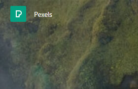 Pexels
