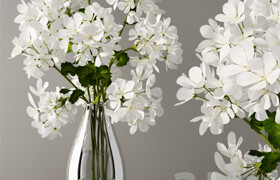 Geranium bouquet  ?