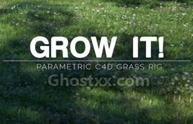 Grow It! For Cinema 4D  Darstellungsart   ?