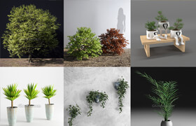 Cgmood 植物盆栽模型14個