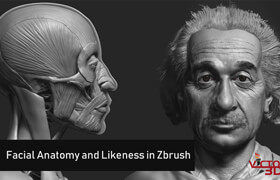 Udemy - Facial Anatomy and Likeness Tutorial