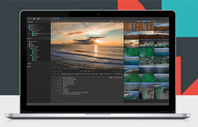 Lesspain software Kyno
