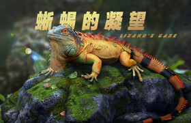 【正版】影視動物角色《蜥蜴的凝望》全流程制作【實名認證】