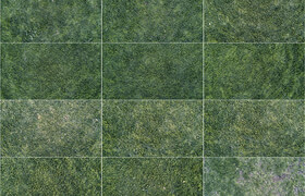 Gov3dstudio - Texturas Drone 02 - Césped Invierno [4K]