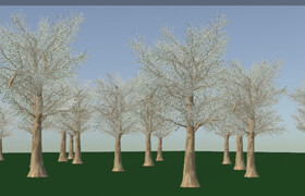 CG Circuit - Houdini Tree Rig With Vellum Leaves