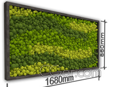 墻面植物模型，垂直綠化模型