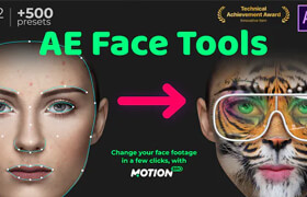 Face Tools V2   ?