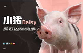 【正版】照片級寫實CG動物《小豬Daisy》制作全流程 - 頑皮狗大神親授