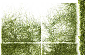 Leaves for walls v3
