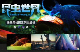 【正版】C4D+AE《昆蟲世界風格圖》案例全解析