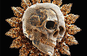 TFMStyle - mofractal for Cinema 4D