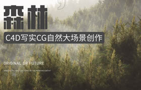 【正版】C4D 寫實CG自然大場景表現《森林》系統教學