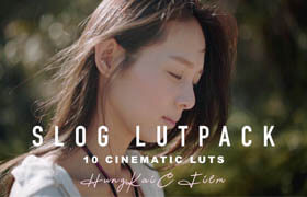 HungKai Chen LutPacks Bundle (ALL 24 LUTs)  ?