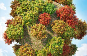 Set autumn bushes 3  ?