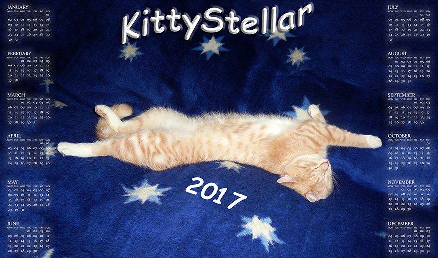 high.jpg