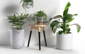Bentanji - Stool and Pots with Plants - 3d model