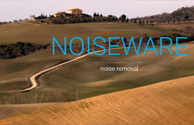 Imagenomic Noiseware - 圖像去噪點(diǎn)工具