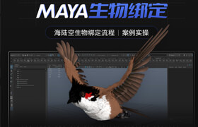 【大師】【正版】Maya生物綁定-海陸空生物綁定流程集合【案例實操】