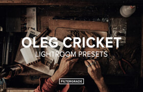 Filtergrade - Oleg Cricket Vintage Lightroom Presets - lr預(yù)設(shè)