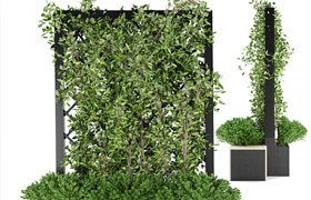 Collection plant vol 16