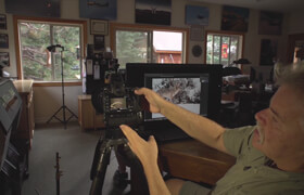 KelbyOne - Moose Peterson - A Beginner's Guide to Wildlife Photography