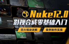【正版】【大師】Nuke12.0 影視合成零基礎(chǔ)入門系統(tǒng)教程【四大模塊丨案例實(shí)操】