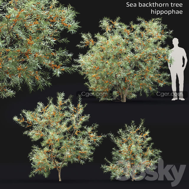 high.jpg