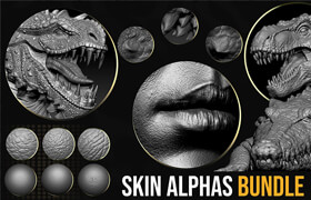 Arstation - CGSphere Skin Alphas Bundle - 筆刷紋理