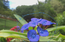 Udemy - Premiere Pro CC for Beginners Video Editing in Premiere - Phil Ebiner