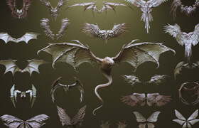 Artstation - WINGS - 33 Character & Creature wings - zb筆刷