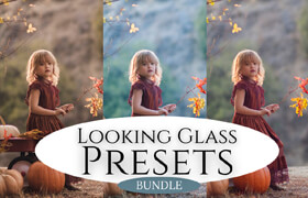 Jessica Drossin - Looking Glass Presets Bundle - 調色預設
