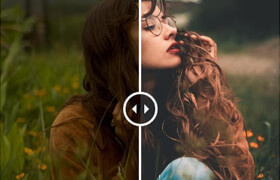 Luiz Clas - Creative Collection - 調色預設